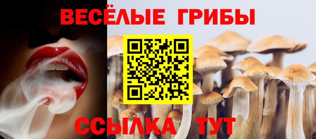 Янаул  Псилоцибиновые грибы Magic Shrooms  купить наркотики сайты  Псилоцибиновые грибы мухоморы  Вход с VPN 